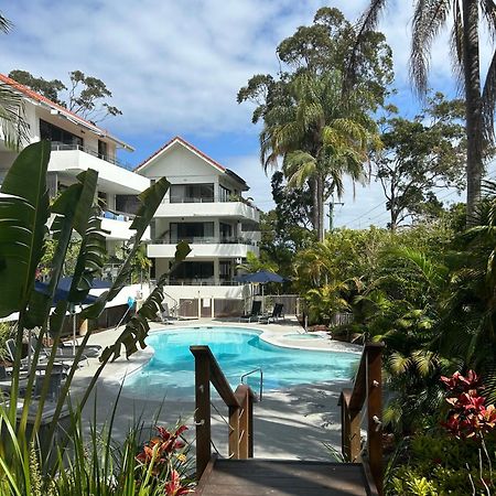 Haven on Noosa Hill - sunset views, pools, spa Buitenkant foto